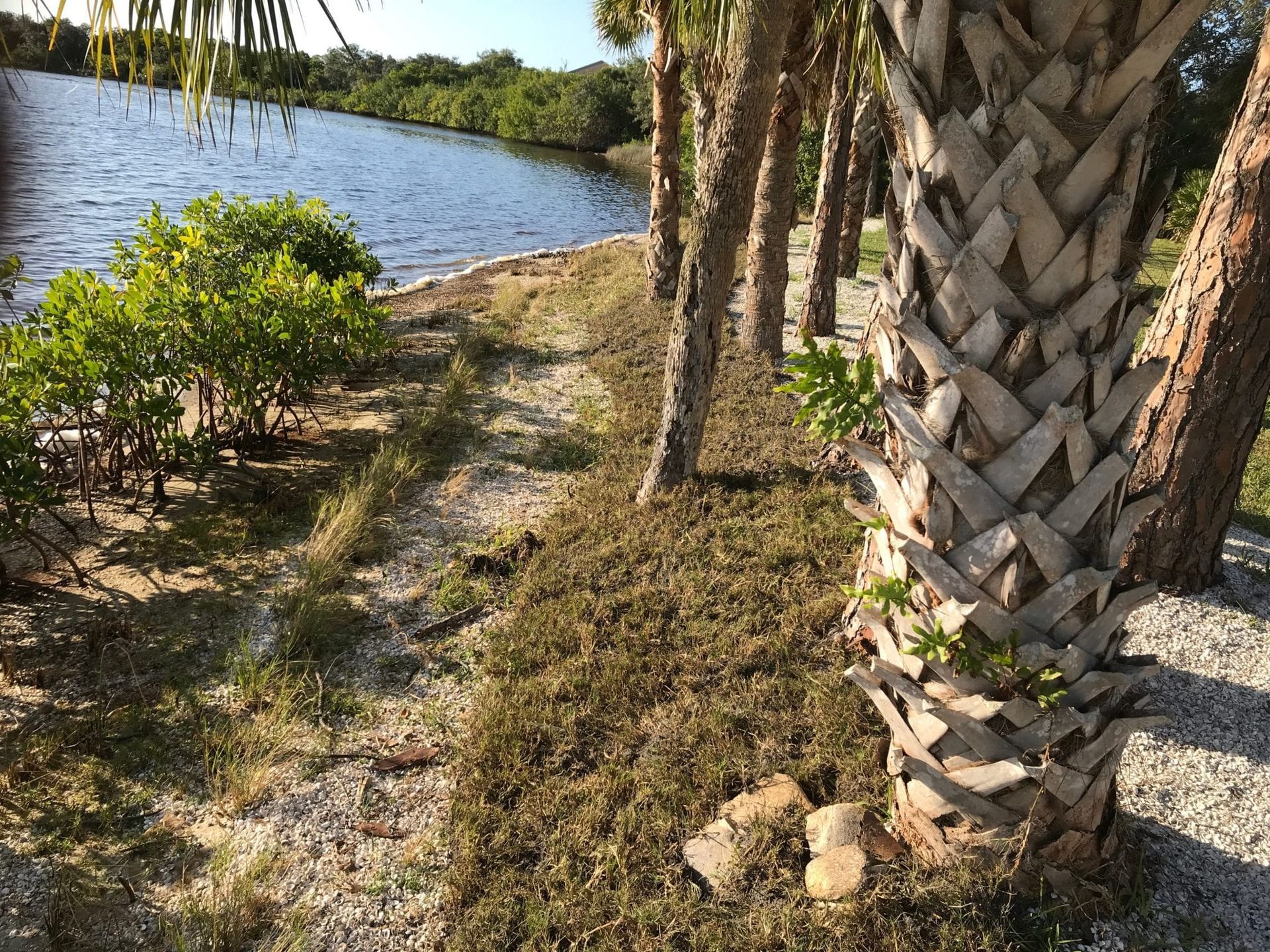Riverbank Erosion Control System