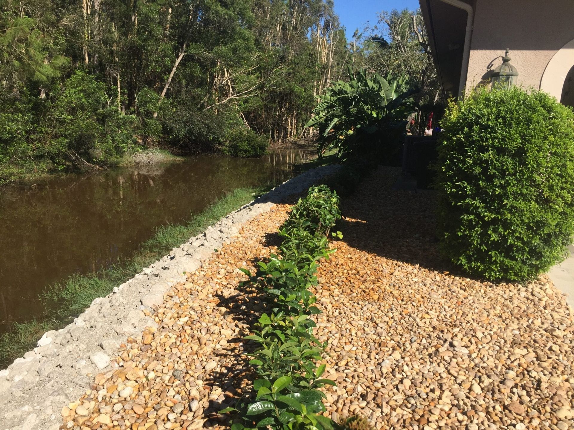 Wetland Canal Shoreline Fort Myers