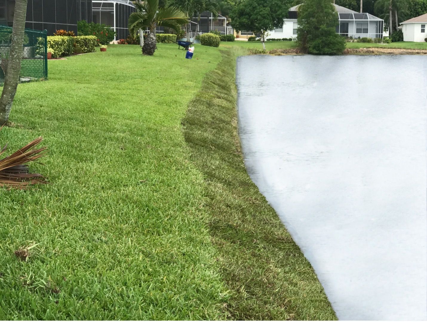 Green lawn meets a white retaining wall bordering a pond, with someone mowing the grass.