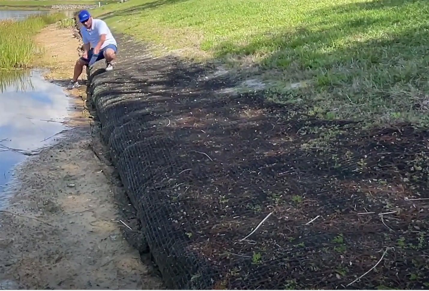 Man kneeling by the edge of a pond, tending to a planted, mesh-covered bank stabilization system.
