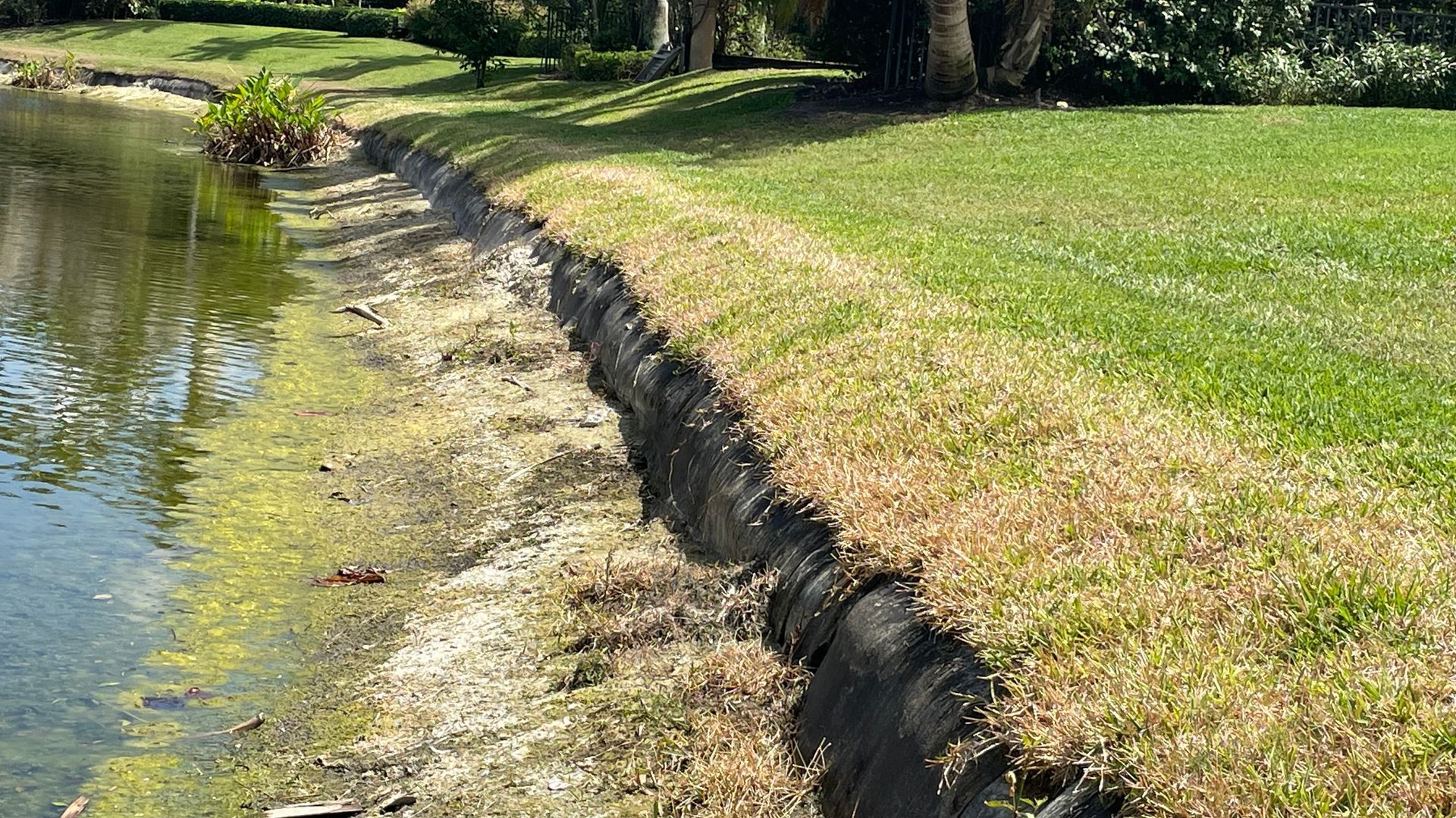 Geo Trash Bags Final Product on Naples Lake