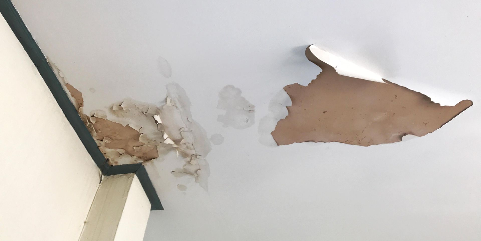 Peeling white paint on a ceiling revealing brown drywall.