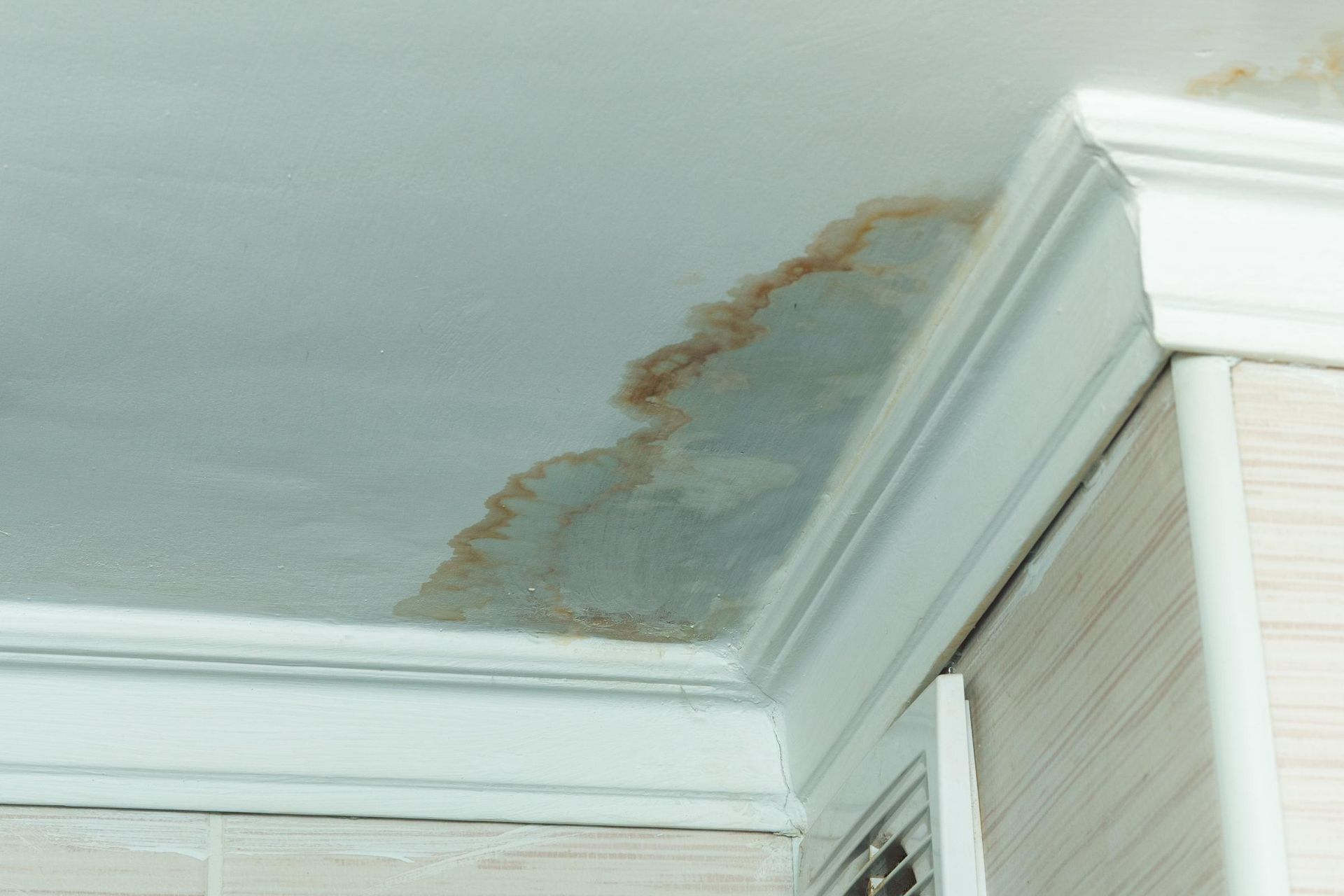 Large, brown water stain on a white ceiling next to crown molding above a cabinet.