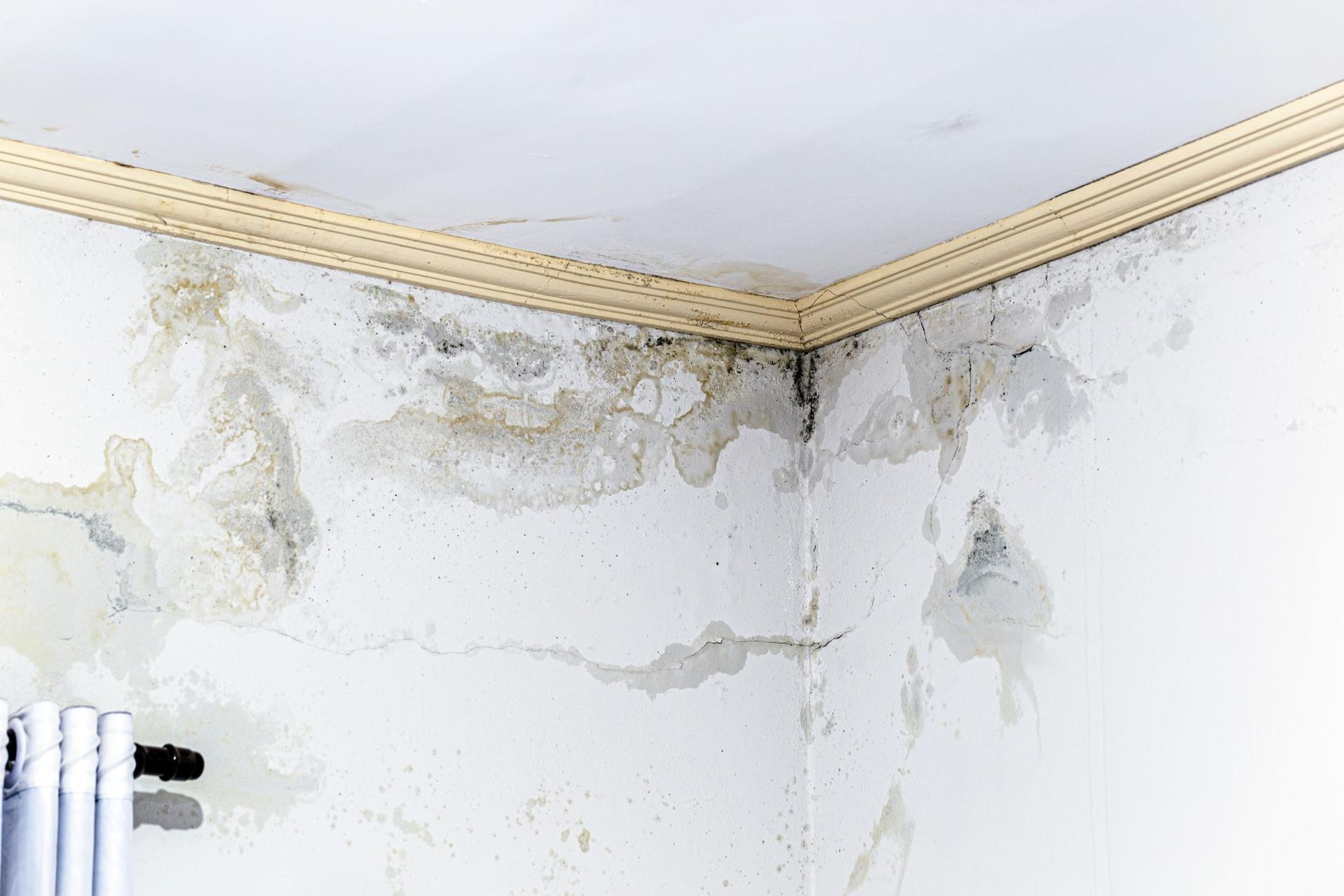 Wall corner showing severe water damage.