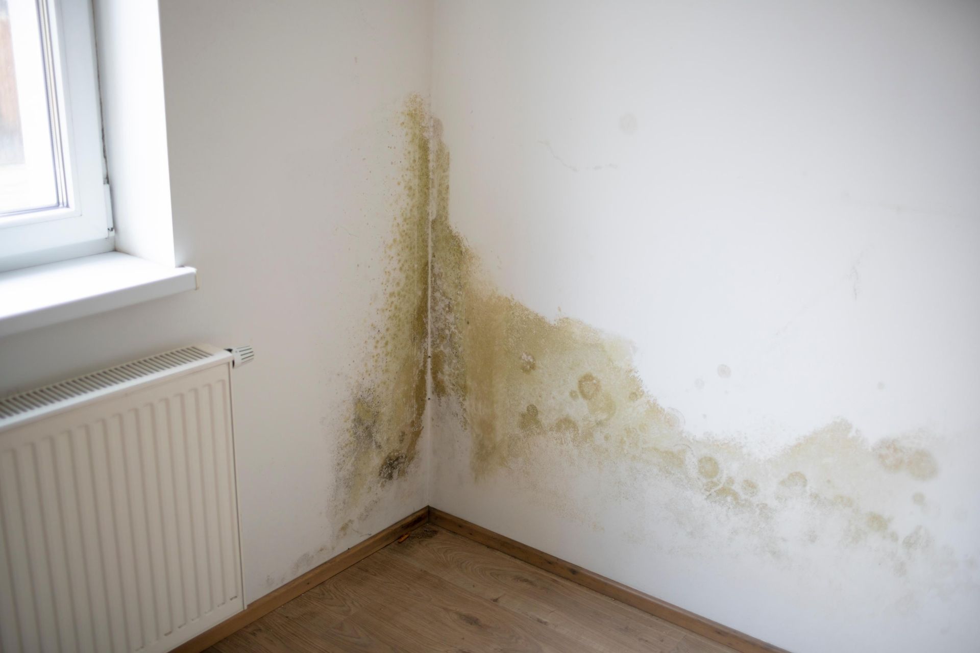 A corner of a room with a window, showing significant yellow and brown water damage.