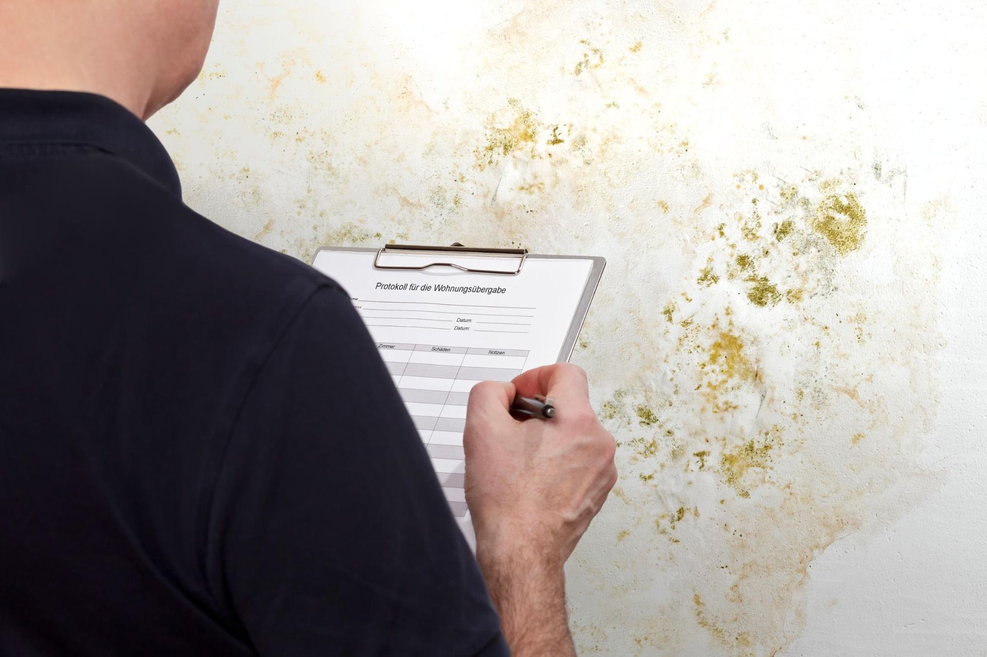 A person in a black shirt holds a clipboard and pen while inspecting green mold patches on a white wall.