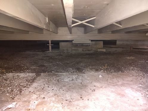 A dark crawlspace featuring light-colored wooden joists and beams supported by metal jacks.