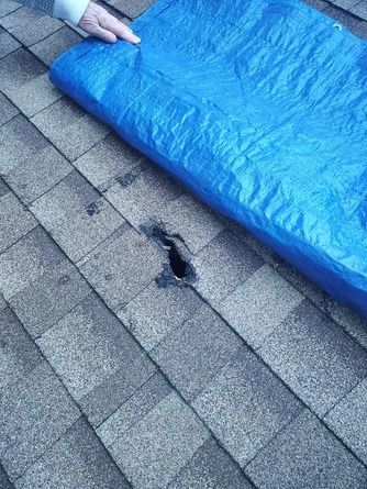 A person pulling a blue tarp over a hole in asphalt roof shingles.