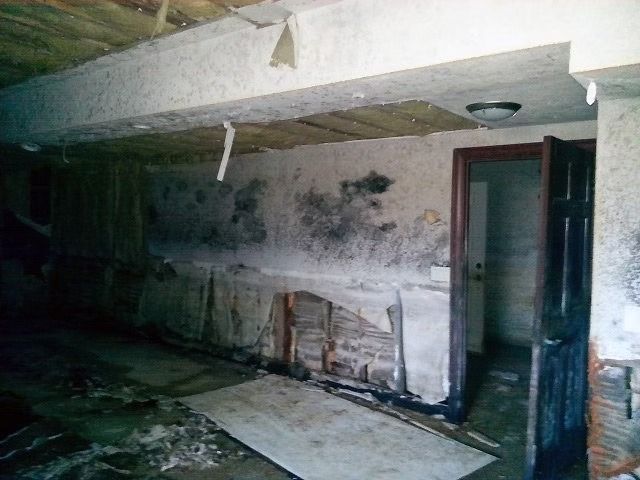 A dilapidated basement room with extensive black mold growth on the walls.