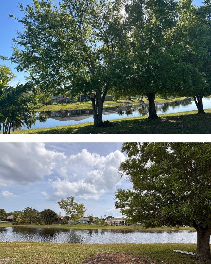 Top: Trees frame a pond under a bright sky. Bottom: Pond and trees under a cloudy sky.