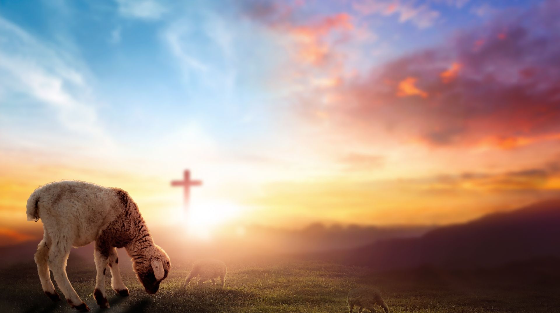 A holy bible is sitting on a rock next to a wooden cross.