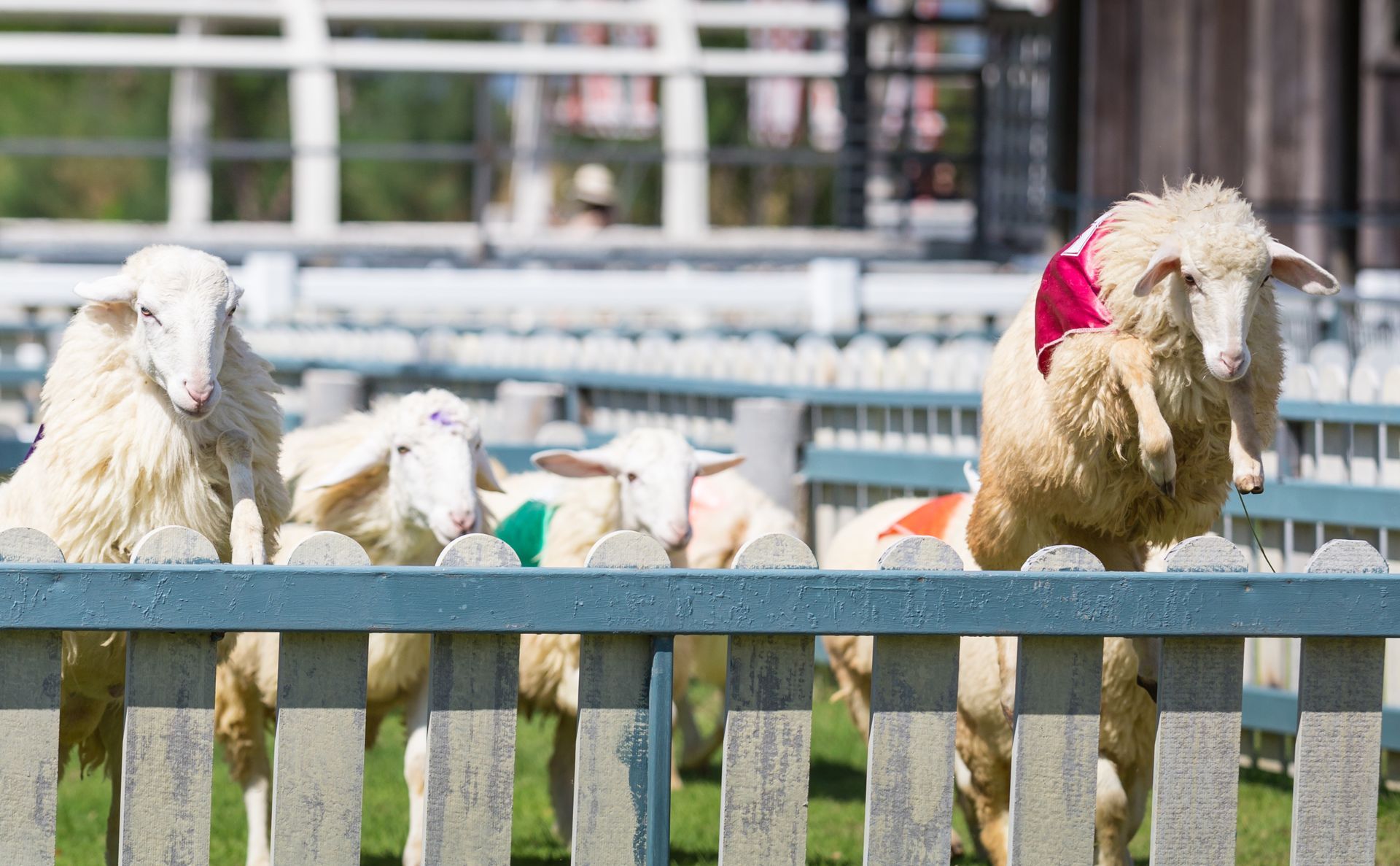 A group of people are raising their hands in a church.