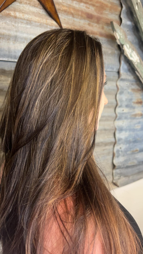 The back of a woman 's head with long brown hair.