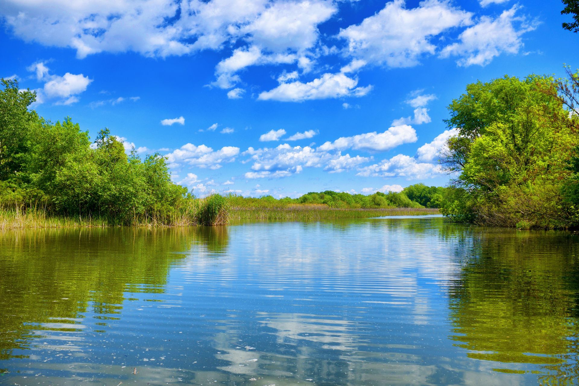 Calm river bordered by green trees under a bright blue sky with white clouds
