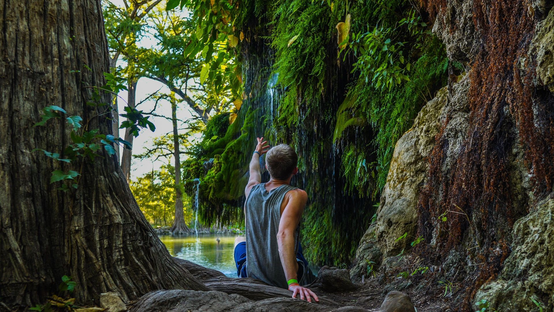Person sitting on tree roots in a lush forest, looking toward a calm river through giant trunks