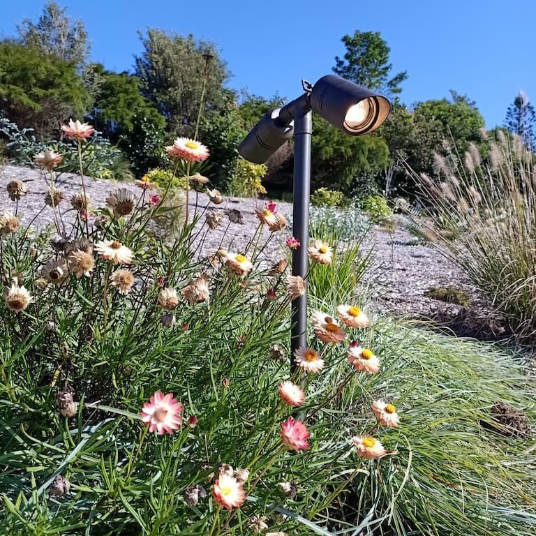 A Lamp is Sitting in the Middle of a Field of Flowers — Bangalow Electrical in Mullumbimby, NSW