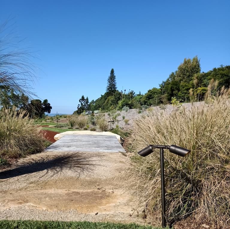 A Path Surrounded by Tall Grass and Trees on a Sunny Day — Bangalow Electrical in Mullumbimby, NSW