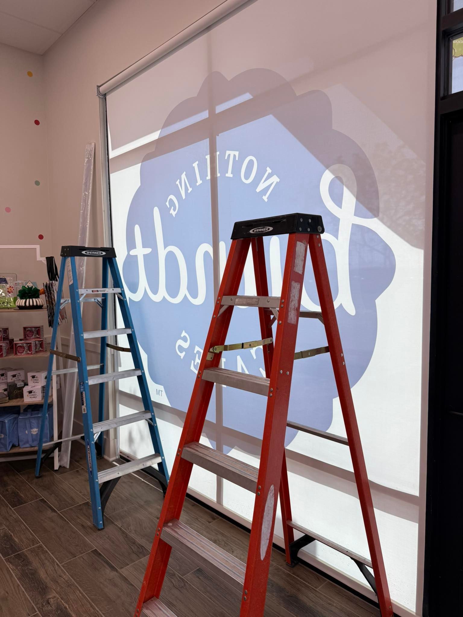 Two ladders inside a shop; a blue one and a red one stand in front of a window with a logo on it.