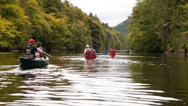 Canoes on a calm river with lush green trees lining the banks. People are paddling.
