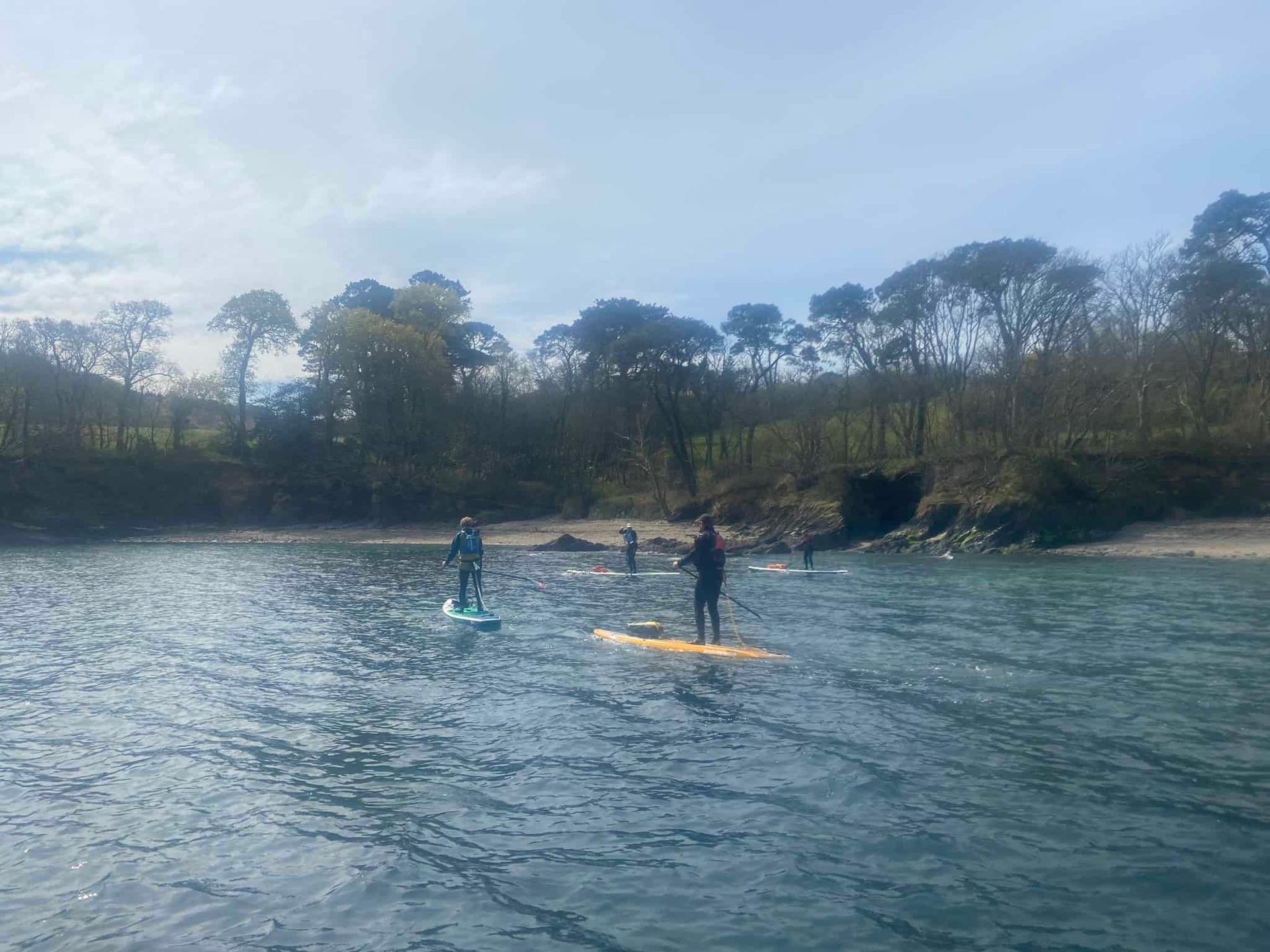 People stand-up paddleboarding in a calm body of water near a shoreline lined with trees on a sunny day.