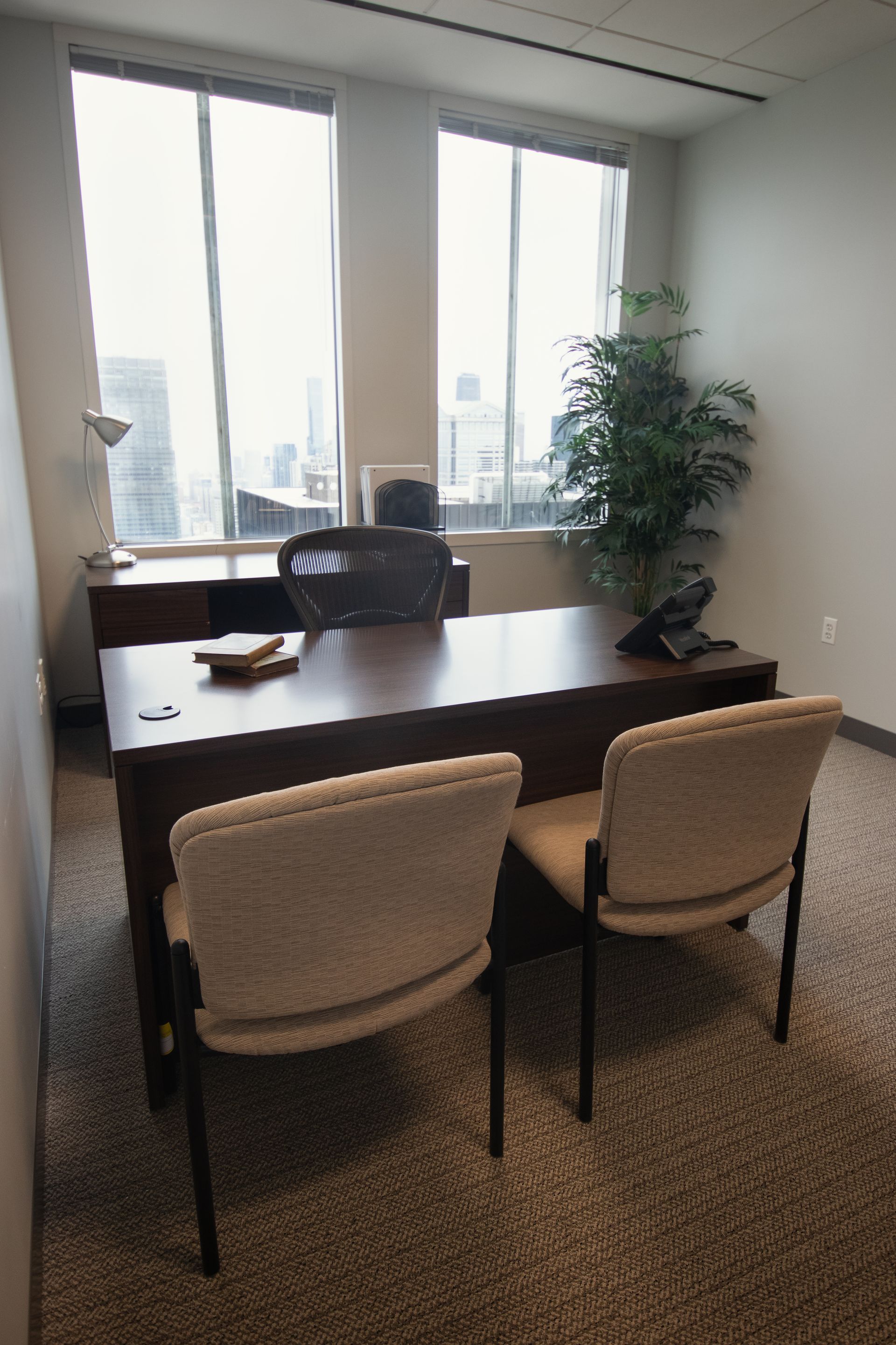 Office with desk, chairs, large windows, and a plant. Brown desk with two chairs facing it.