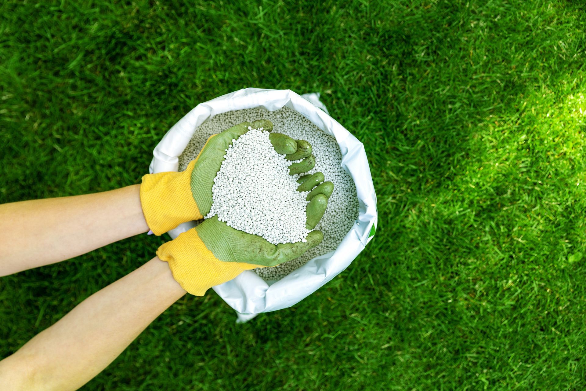 Hands in yellow gloves holding fertilizer granules over a bag on a green lawn.