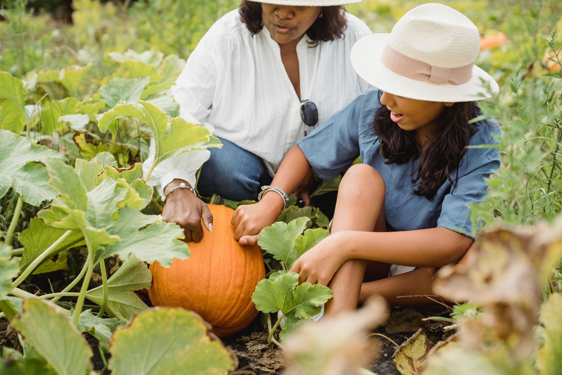 Woman and child examining a pumpkin in a garden. Both wear hats and touch the pumpkin.