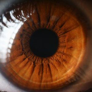 Close-up image of a cornea