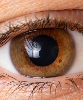Cornea | Baptist Eye Surgeons