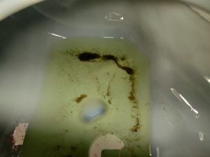 tank internal after draining through bung