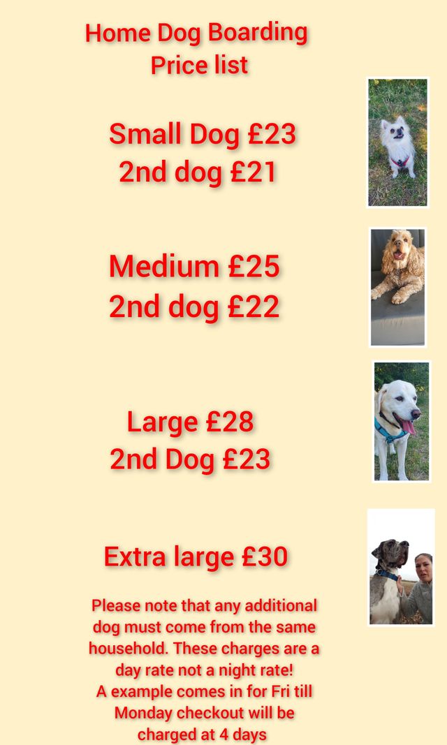 Dogs Paws Services provides care for your dog. Dogs paws services is home  from home dog boarding. Based in Mayland Essex.
