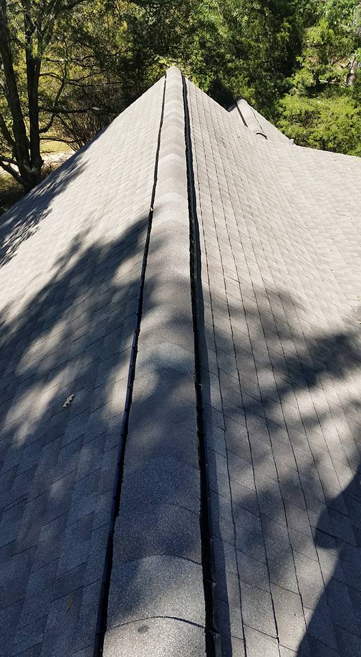 A close up of a roof with trees in the background.