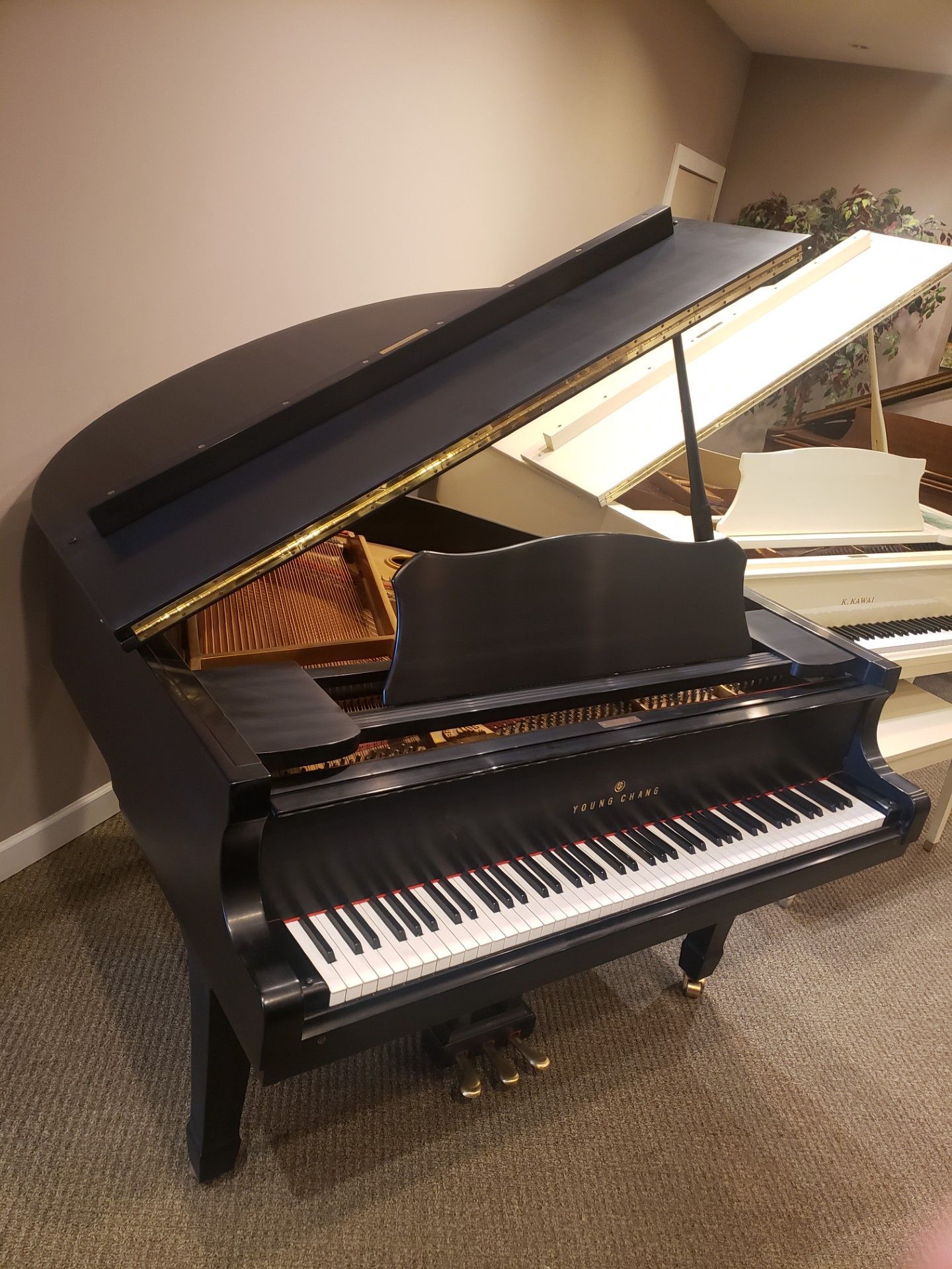 Baby Grand - Ebony Satin Baby Grand - Richmond, VA