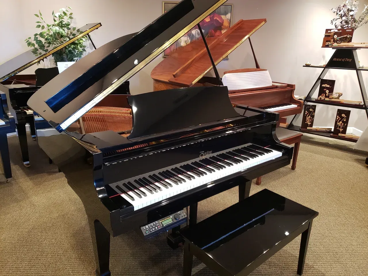 Boston Baby Grand - Midlothian, VA - Peabodys Piano Co.