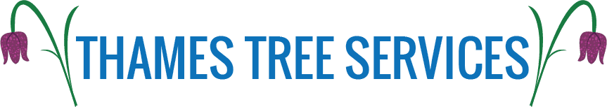 Thames Tree Services logo