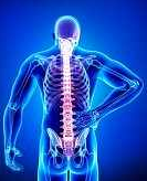 Chiropractor Image 1