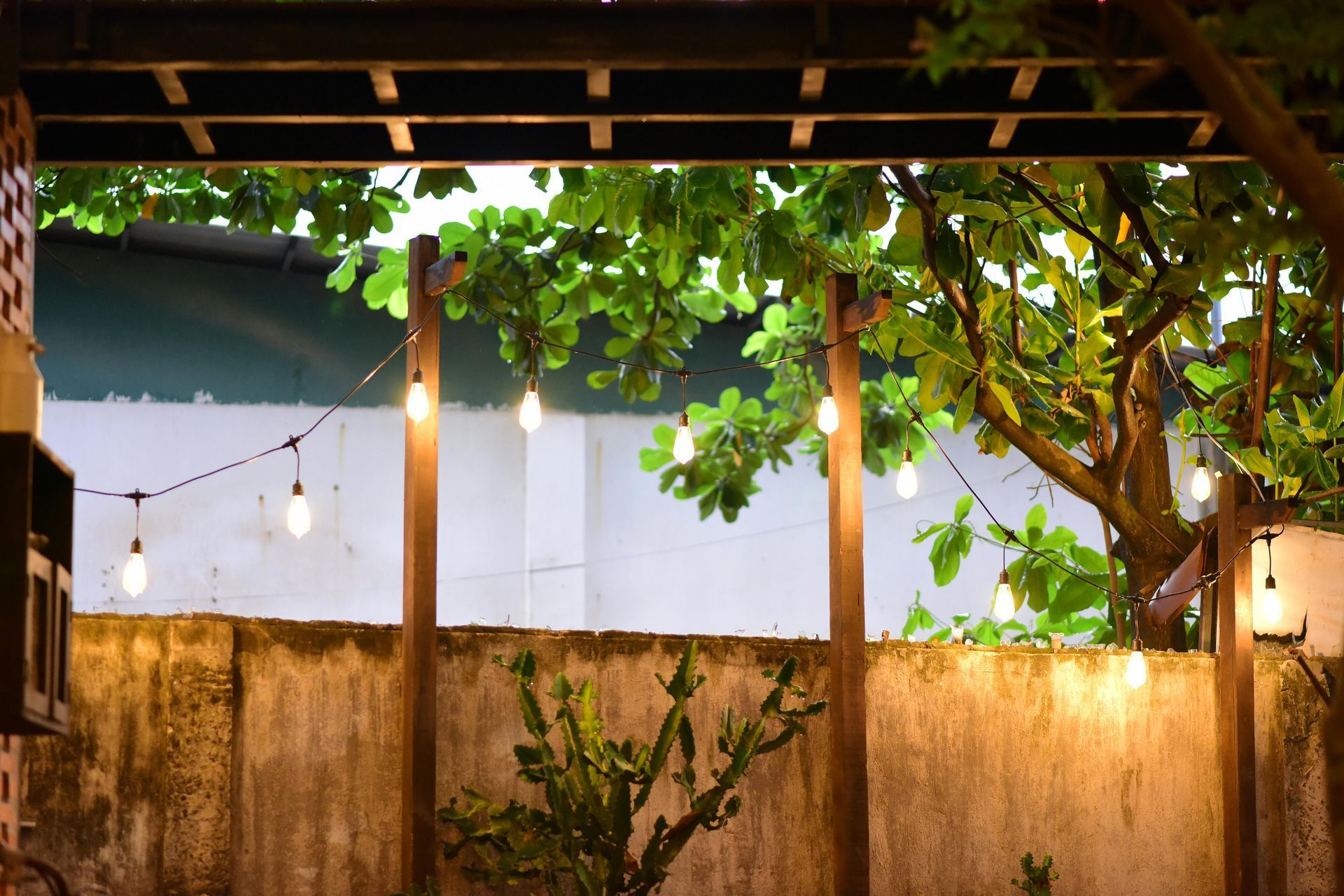 String lights and a leafy tree under a wooden pergola in a warmly lit backyard patio.
