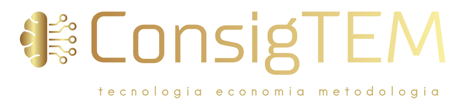 ConsigTEM