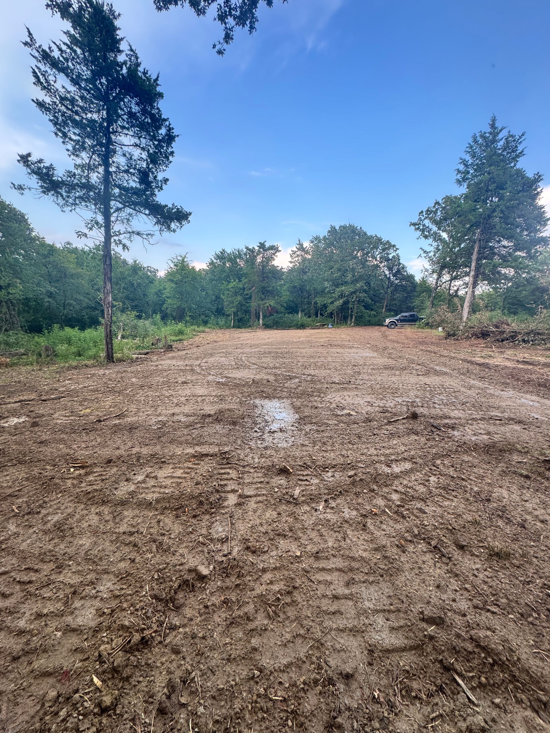 Clearing of muddy ground, surrounded by trees under a blue sky.
