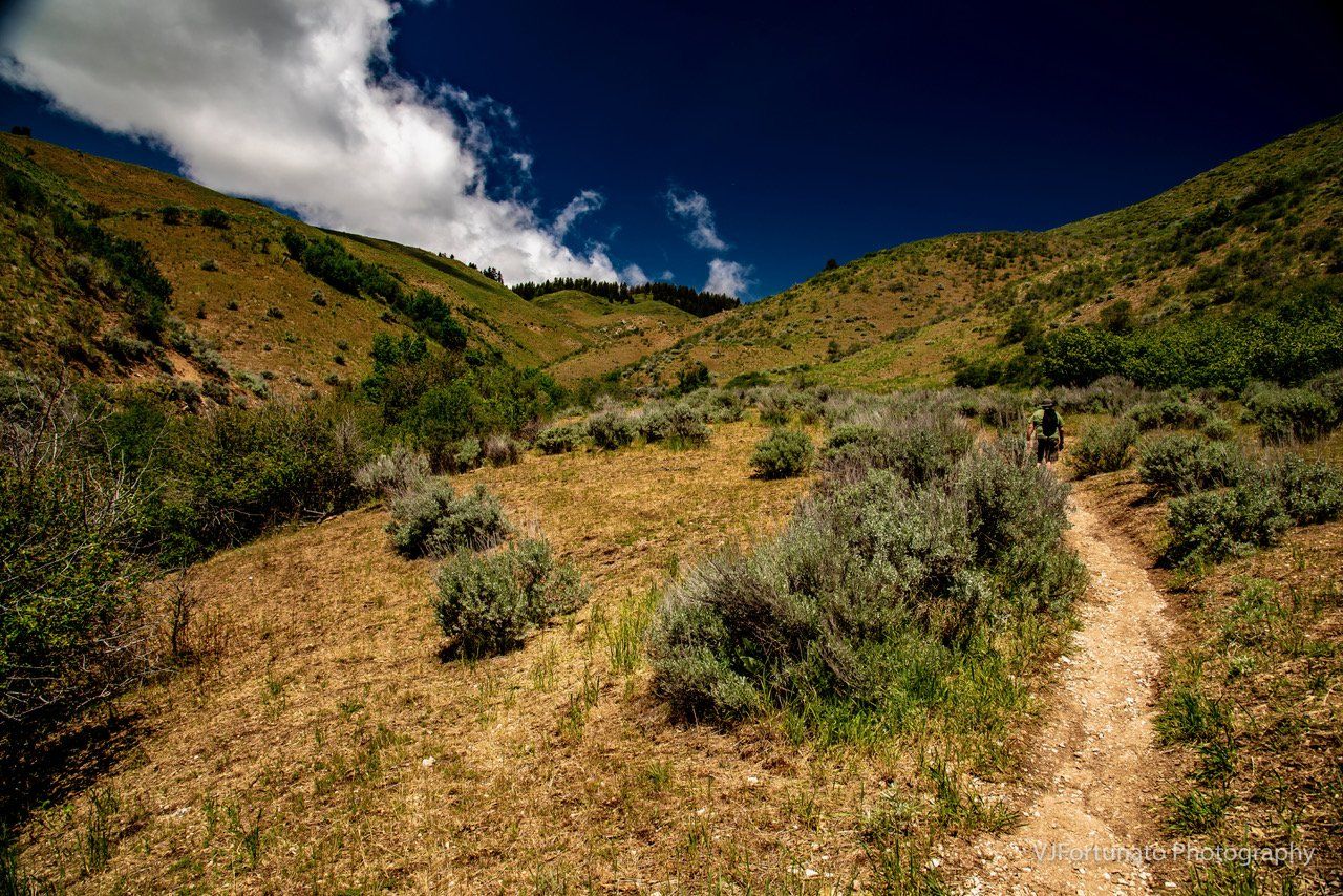A Hike in the Boise Foothills. Michael Kroth, Profound Living