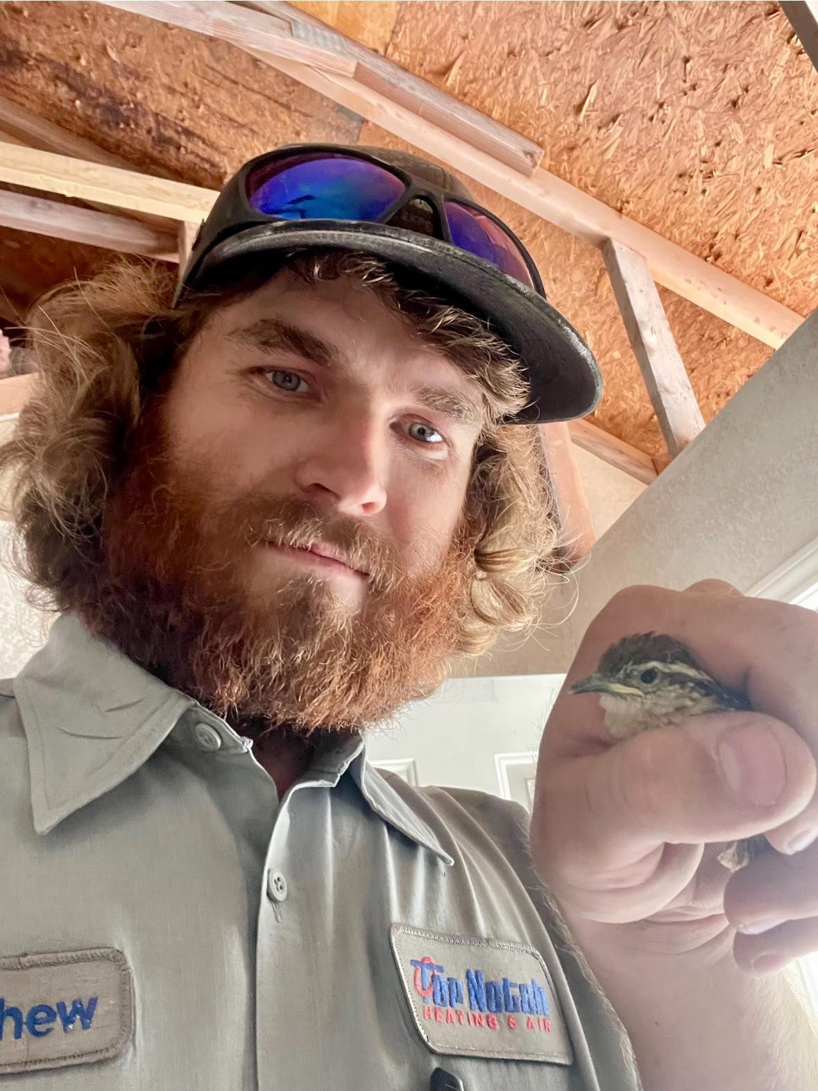 A person with a red beard and baseball cap holds a small bird in their cupped hand inside an unfinished wooden structure.
