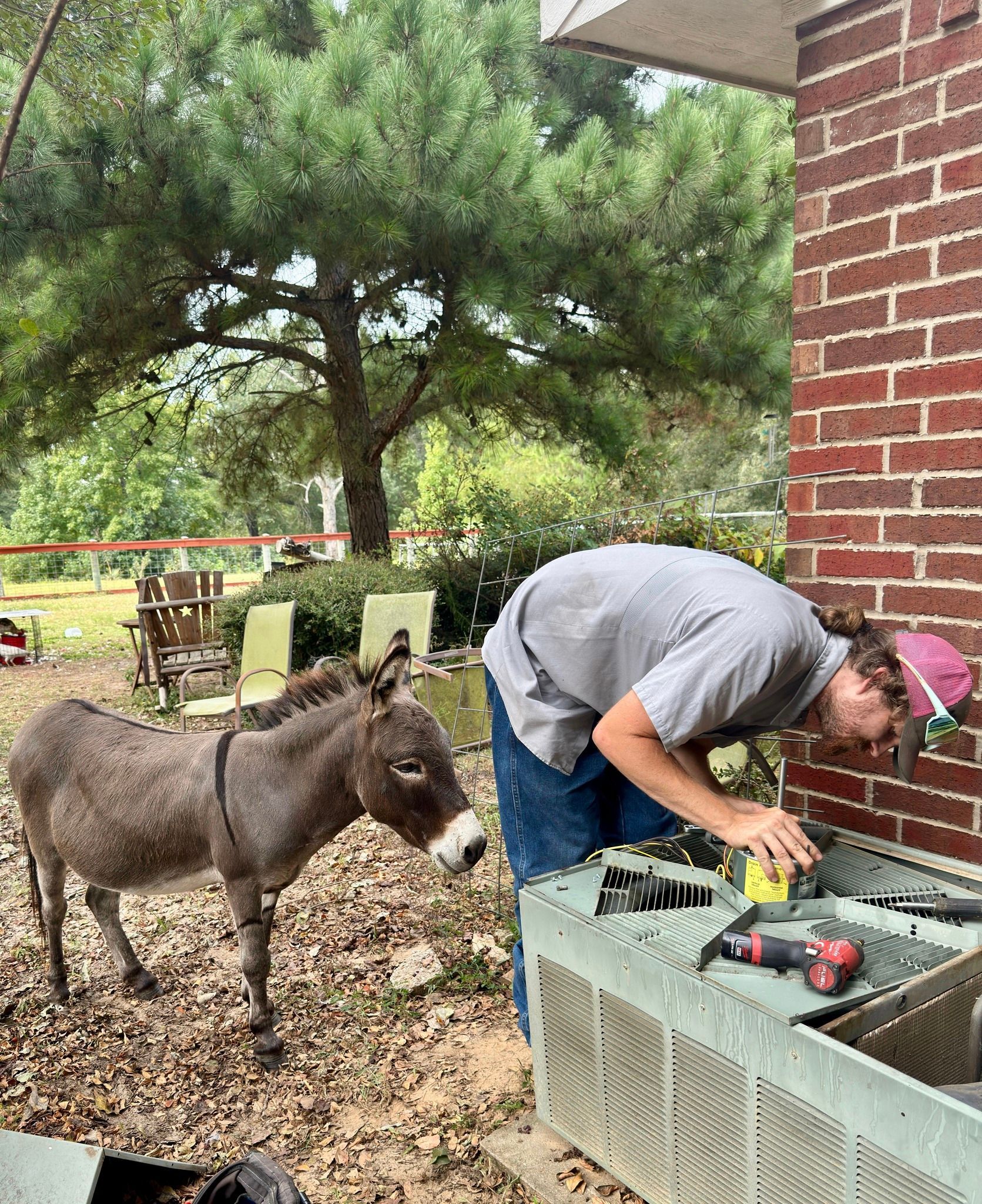 A person repairs an outdoor HVAC unit near a brick wall while a small donkey stands nearby in a grassy, wooded yard.