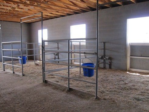 Indoor Livery Yard — Chino Valley, AZ  — Los Caballos Veterinary Service