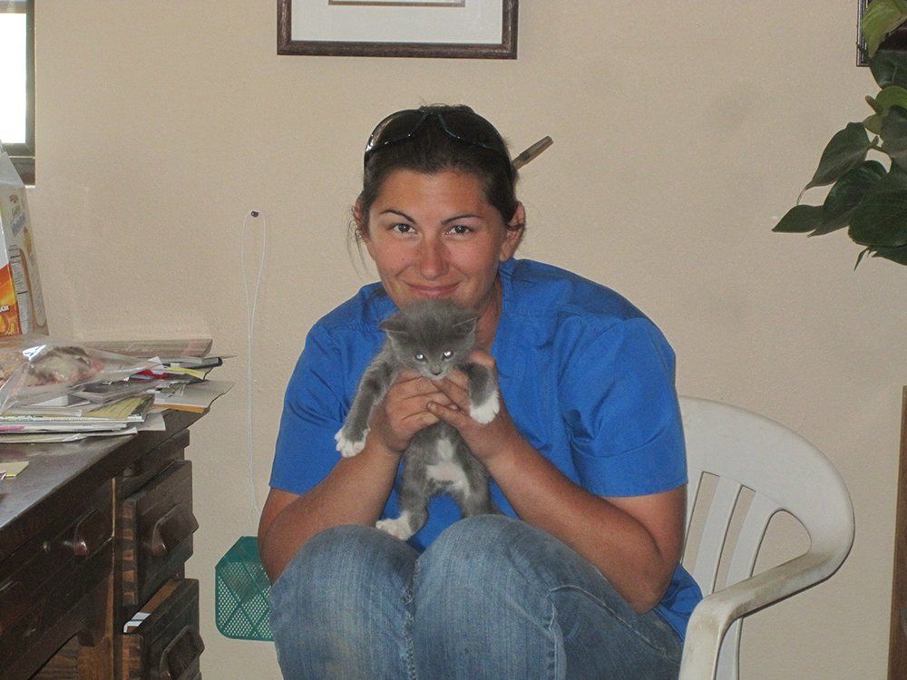 Staff With Little Kitten — Chino Valley, AZ  — Los Caballos Veterinary Service