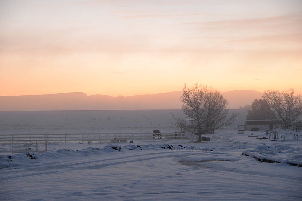 Sunset Against The Snowy Meadow — Chino Valley, AZ  — Los Caballos Veterinary Service