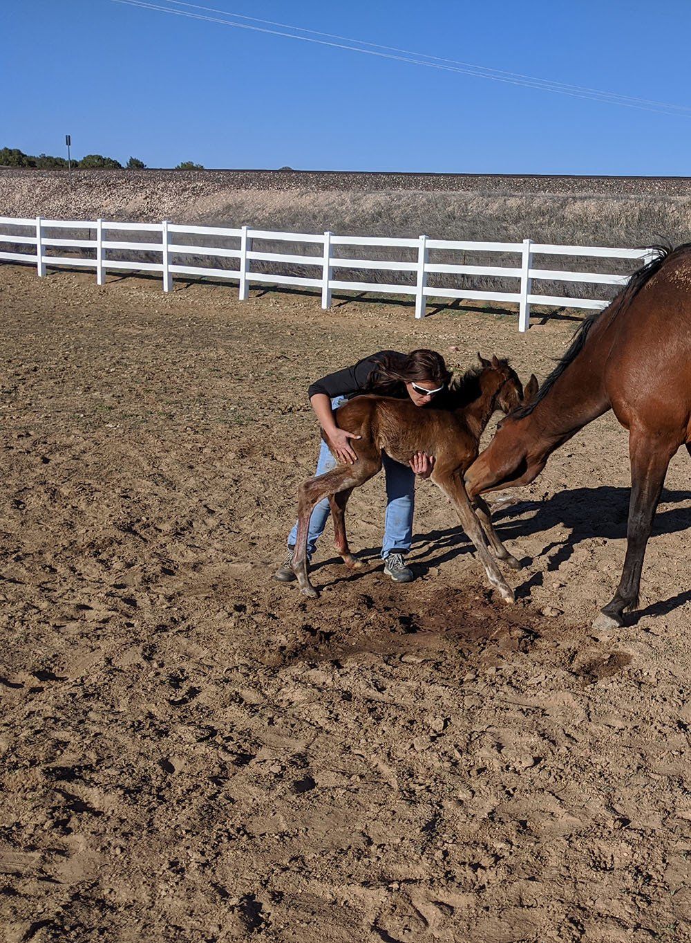 Happy Woman Hugging The Pony — Chino Valley, AZ  — Los Caballos Veterinary Service