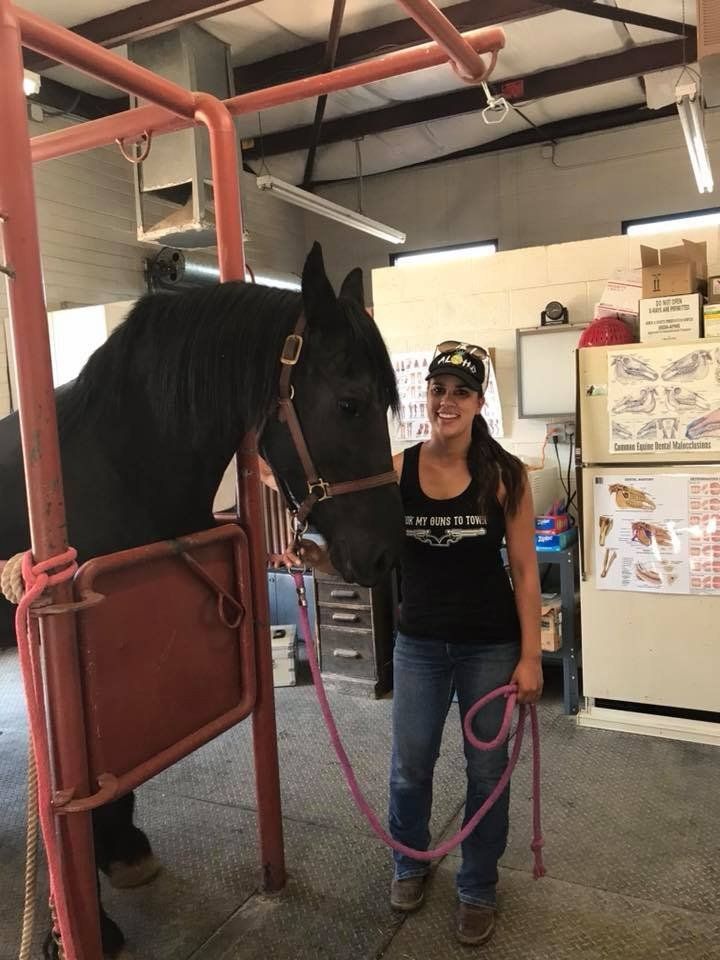 Close Up Of Happy Young Woman With Horse — Chino Valley, AZ  — Los Caballos Veterinary Service
