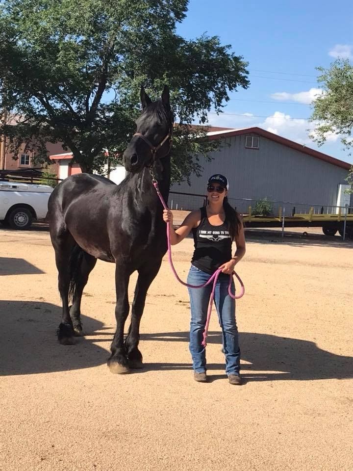 Happy Woman With Black Horse — Chino Valley, AZ  — Los Caballos Veterinary Service