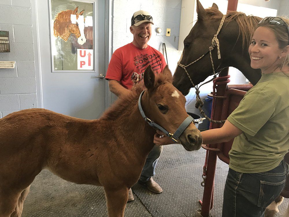 Staff With Horses — Chino Valley, AZ  — Los Caballos Veterinary Service