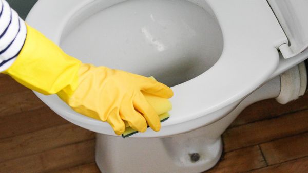 Cleaning Toilets | Jasper, GA | L & M 5 Star Cleaning